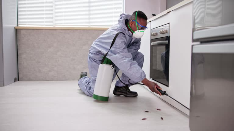 Best Residential Pest Control  in USA